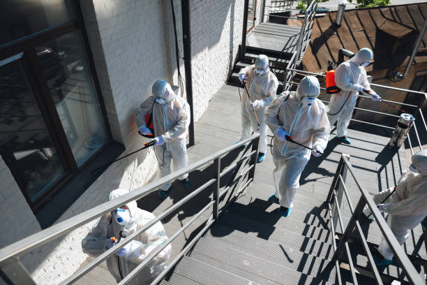 Best Mold Prevention Services  in River Rouge, MI