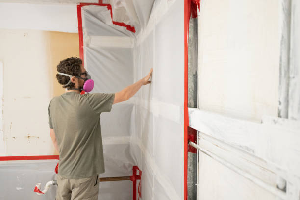 Best Airborne Mold Testing  in River Rouge, MI