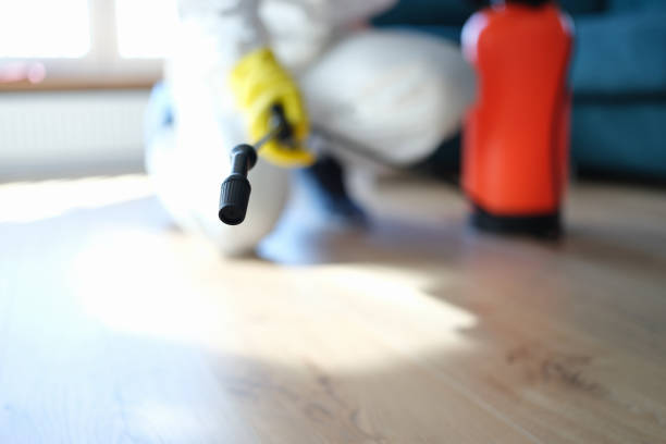 Best Indoor Air Quality Assessment  in River Rouge, MI