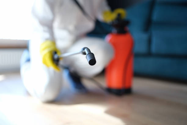 Best Emergency Mold Remediation  in River Rouge, MI