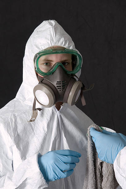 Best Real Estate Mold Inspection  in River Rouge, MI